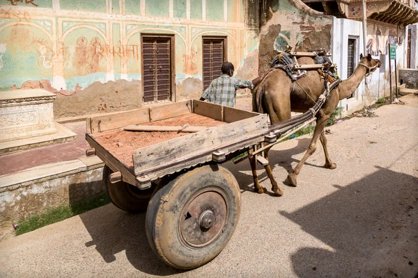 Transporte en camello — Foto de Stock