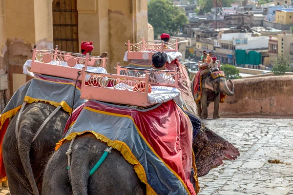 Elefante Amber Fort — Fotografia de Stock