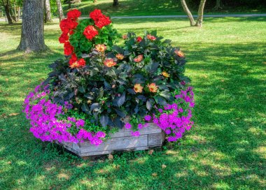 Different flowers in a big pot