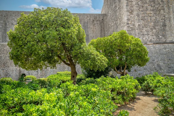 Parco Vicino Alle Mura Della Città Vecchia Dubrovnik Croazia — Foto Stock