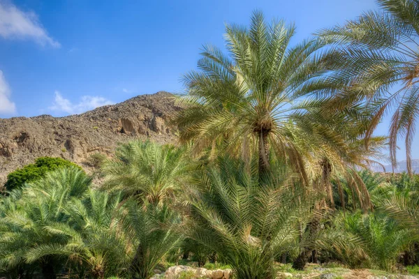 Wadi Jeden Najbardziej Znanych Najpiękniejszych Wadi Doliny Arabskim Sułtanacie Oman — Zdjęcie stockowe