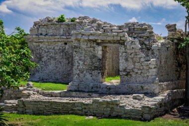 Antik Tulum, Tulum Meksika 'daki tropikal doğal orman palmiyesi ve deniz manzarasında tapınak kalıntıları ve eserlerle Maya bölgesini harabeye çeviriyor..