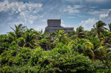 Antik Tulum, Tulum Meksika 'daki tropikal doğal orman palmiyesi ve deniz manzarasında tapınak kalıntıları ve eserlerle Maya bölgesini harabeye çeviriyor..
