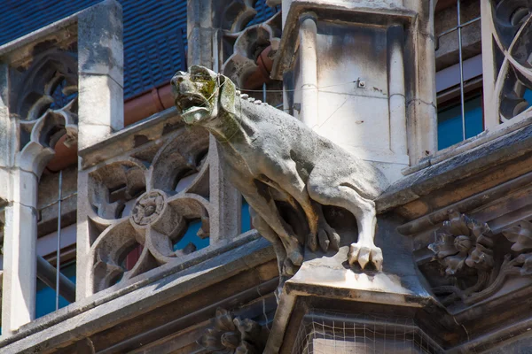 Gargoyle hund — Stockfoto