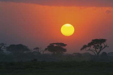 Sunset, african spirit