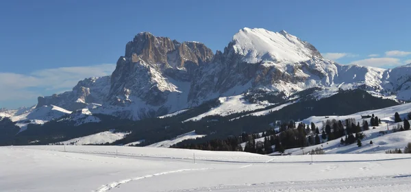 muhteşem kış manzarası