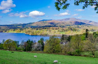 İngiliz Gölü Bölgesi 'nde Jenkins Crag Jenkin Kayalığı yakınlarındaki Skelghyll Ormanı' ndan Windermere Gölü ve Lakeland Şelalesi Dağları manzarası