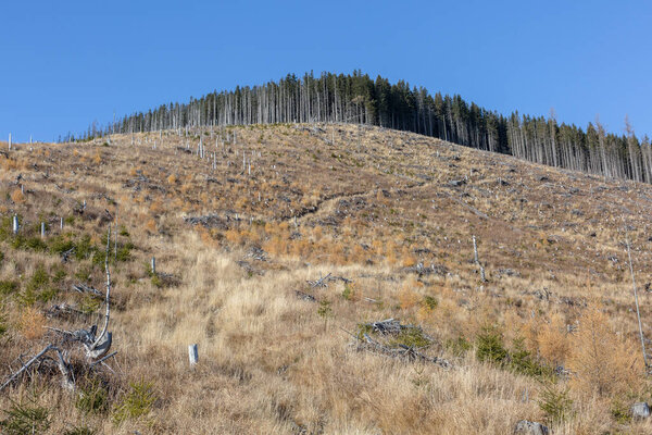 Mountain landscape Vysok Tatry, High Tatra Mountains - the mountain range and national park in Slovakia