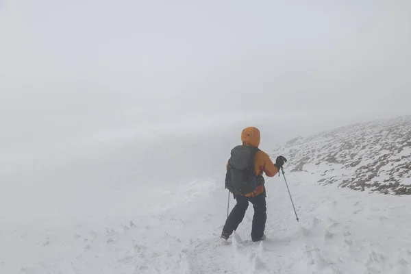 Descent Climber Foggy Snow Capped Peak Mount Ararat Eastern Anatolia — Photo