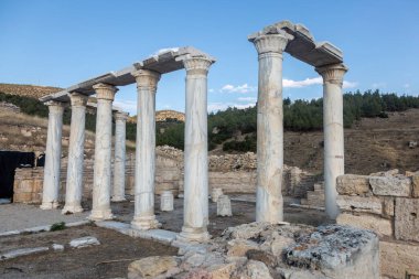 Colonnaded street. The ancient Greek city, near Pamukkale in Denizli Province in southwestern Turkey.