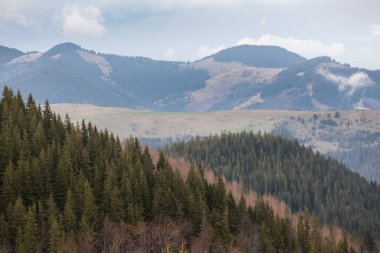 Karpatlar 'ın dağ çayırları ve dağları yağmur üstüne sis ile kaplıdır.