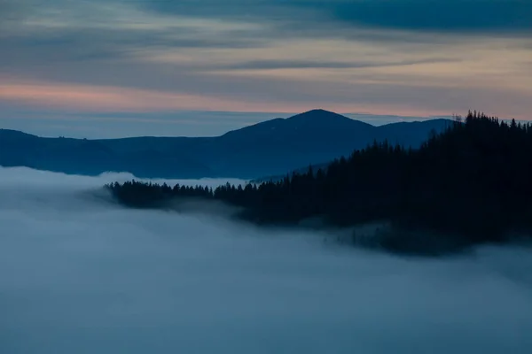 Dağlarda Karpatlar Smotrych Gündoğumunda Bulutlardaki Orman Vadiler — Stok fotoğraf