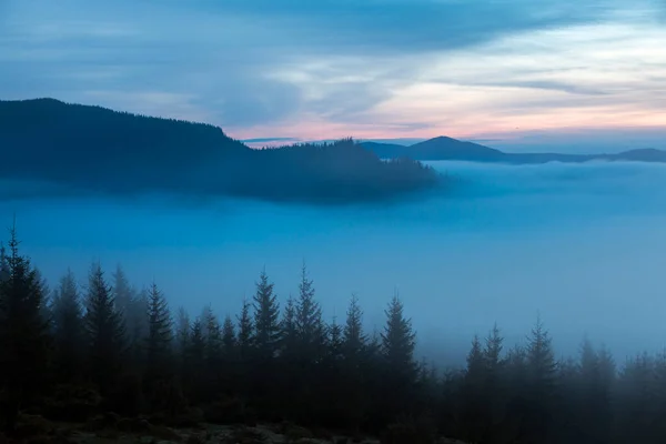 Dağ Vadisindeki Orman Yoğun Sis Bulutlarıyla Kaplıdır Karpatlar Sabah Ukrayna — Stok fotoğraf