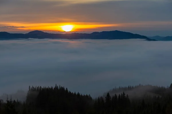 Ormanlar Vadiler Bulutlarda Gün Doğumunda Dağlarda Turuncu Mor Ufukta Karpatlar — Stok fotoğraf