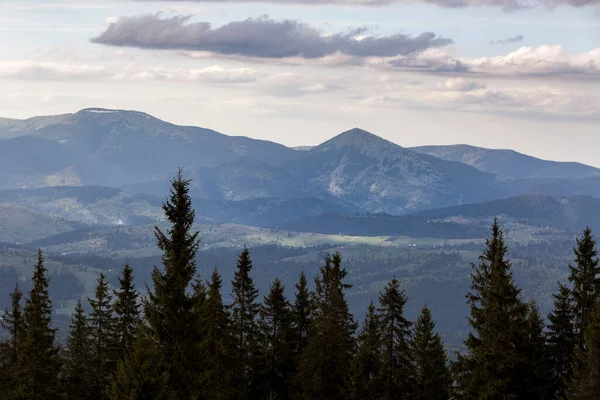 Uitzicht Berg Khomyak Gorgany Vanaf Kukul Weide Karpaten Bergen Oekraïne — Stockfoto