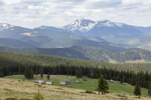 Uitzicht Een Chornohora Bergketen Groene Weiden Karpaten — Stockfoto