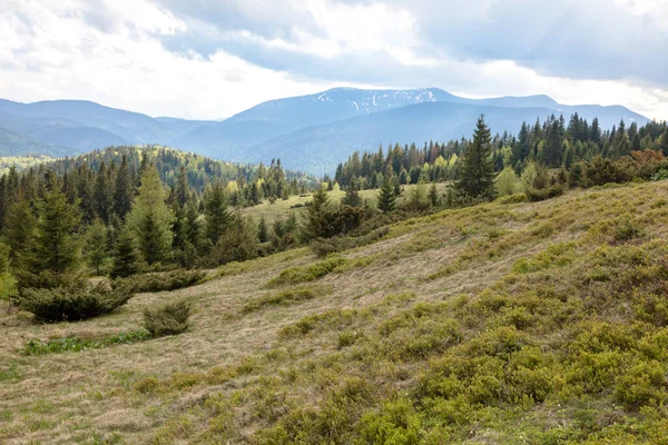 Vista Montanha Dovbushanka Prado Shcivka Gorgany Montanhas Cárpatas Conceito Caminhadas — Fotografia de Stock