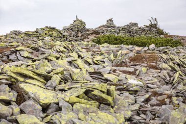 Turist tabelası için Stone Hill, Ukrayna, Karpatlar 'daki Syvulya Dağı, sarı yosunlarla kaplı.