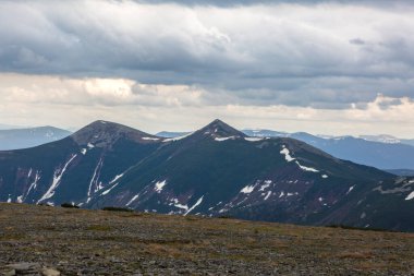 Gorgany, Ukrayna ve Doğu Karpatlar 'ın en yüksek tepeleri olan Büyük ve Küçük Syvulya (Sywula) dağlarının manzarası. Evergreen çamları, sarı yosun ve yosun, dağlardaki kayalarda mantar..