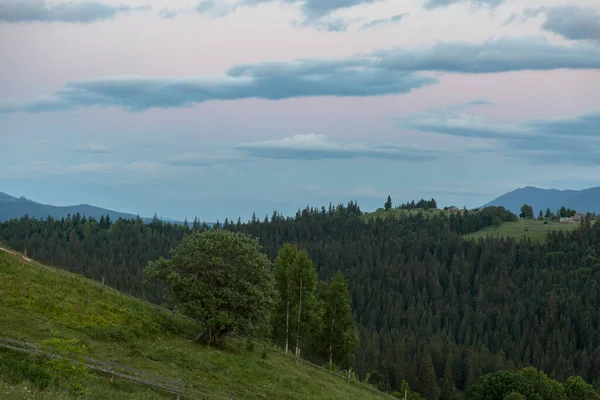 Roze Paarse Zonsondergang Bergen Karpaten Oekraïne — Stockfoto