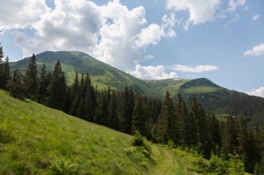 Petros Dağı 'nın tepesi güneşli bir günde yeşil çimen ve taşlarla kaplı, Karpatlar, Chornohora' da yürüyüş ve turizm