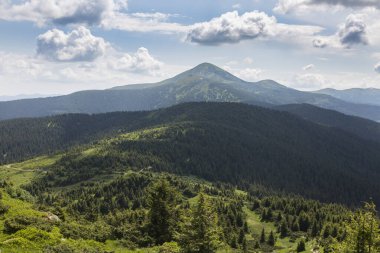 Hoverla Dağı 'nın tepesi güneşli bir günde yeşil çimen ve taşlarla kaplı, Karpatlar, Ukrayna' da yürüyüş ve turizm