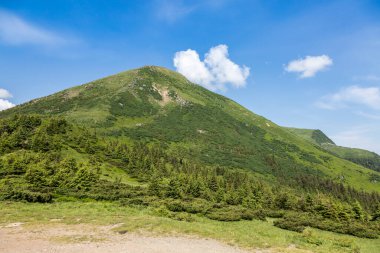 Petros Dağı 'nın tepesi güneşli bir günde yeşil çimen ve taşlarla kaplı. Karpatlar' da yürüyüş ve turizm.