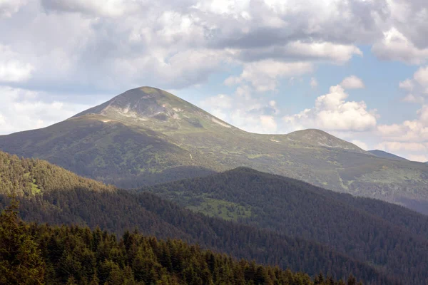 Top Mount Hoverla Covered Green Grass Stones Sunny Day Hiking — Fotografia de Stock