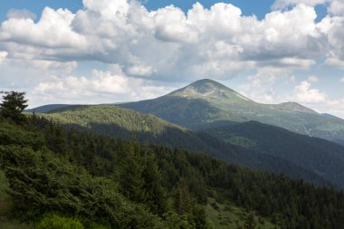 Hoverla Dağı 'nın tepesi güneşli bir günde yeşil çimen ve taşlarla kaplı, Karpatlar, Ukrayna' da yürüyüş ve turizm