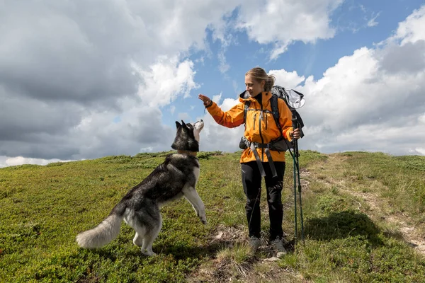 Tourist girl with her friend gray Siberian husky dog hiking in the green mountains