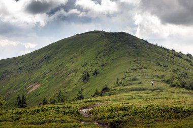 View of the Svidovets mountain range, Tataruka mountain, Carpathians, Ukraine