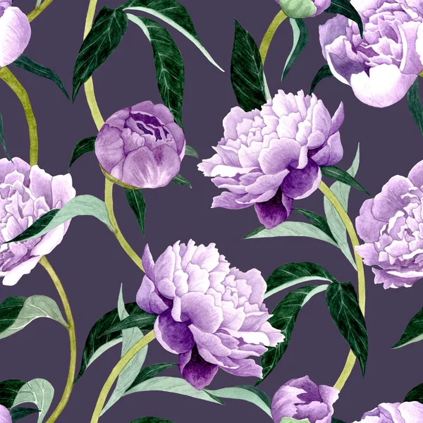 Pfingstrosen nahtlose Muster, Blumen Aquarell Illustration. — Stockfoto