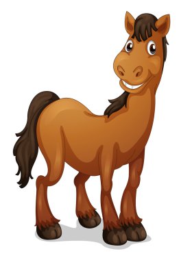 Karikatür hayvan