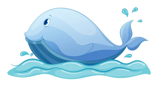 Whale — Stock Vector