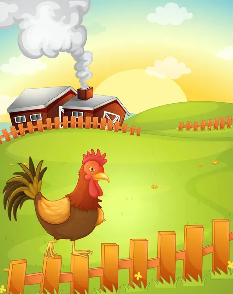 Cock in the farm — Stock Vector