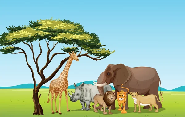 Animales africanos — Vector de stock