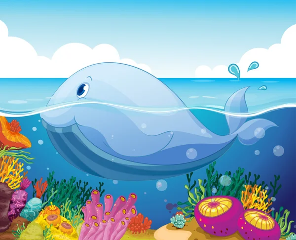 鱼和珊瑚海 — 图库矢量图片