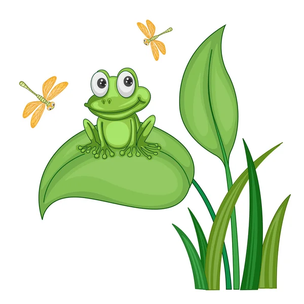 Zielona żaba — Wektor stockowy