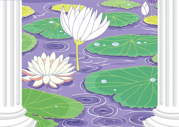 Pond with white lotus flowers — Stock Vector