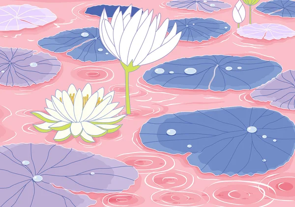 Pond with lotus flowers — Stock Vector