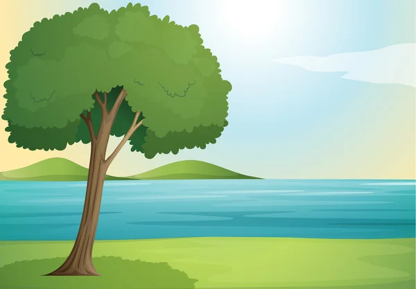 Árbol y río — Vector de stock