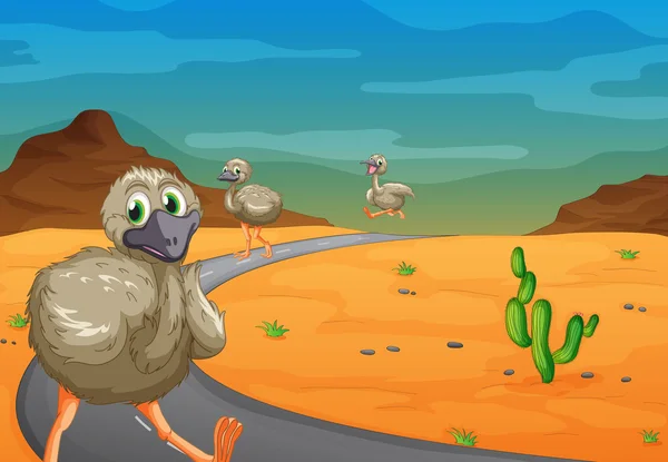 Emu in desert — Stock Vector