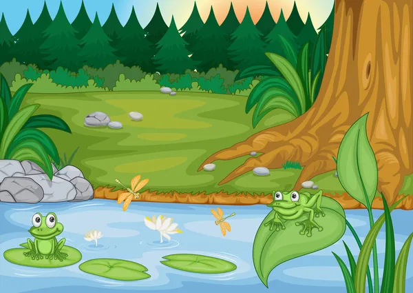 Frogs in nature — Stock Vector