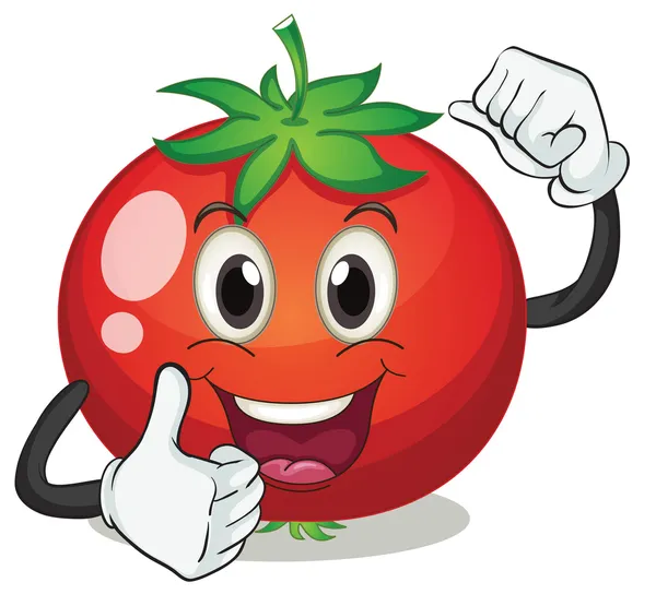 Tomate — Vector de stock