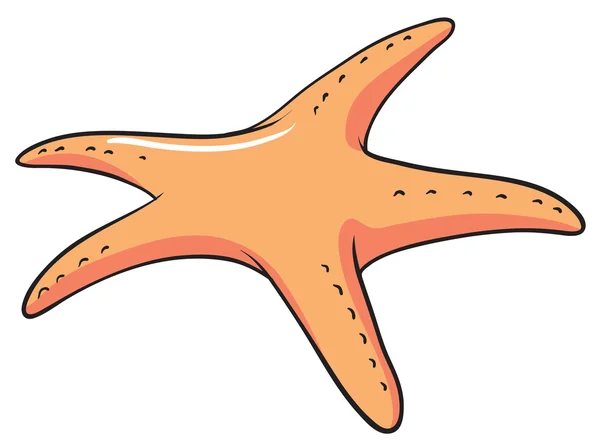 Star fisk — Stock vektor