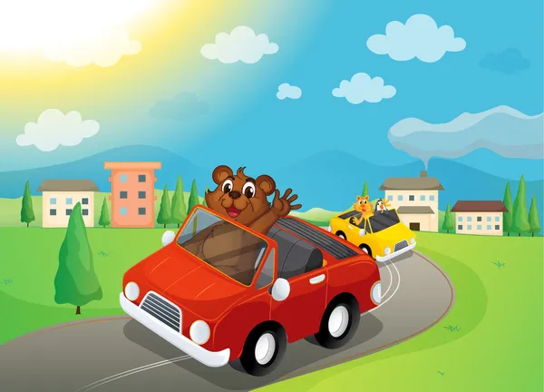 Bear and cars — Stock Vector