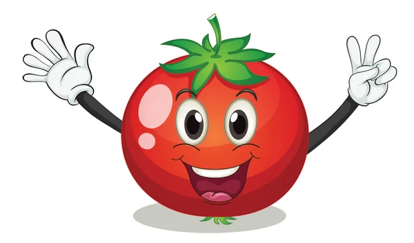 Tomate — Vector de stock