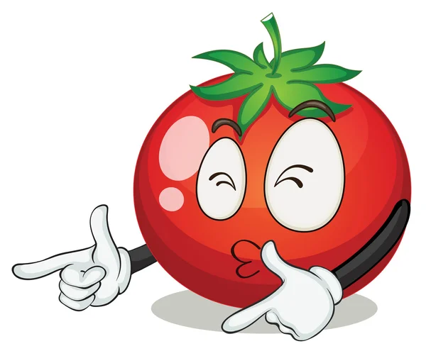 Tomato — Stock Vector