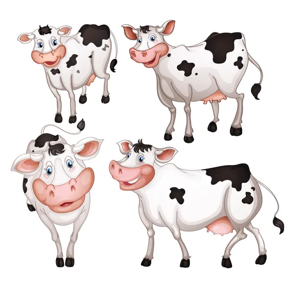 Cuatro vacas — Vector de stock