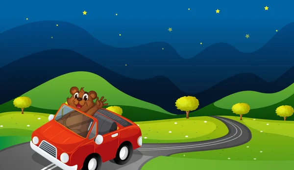 Ours et voiture — Image vectorielle